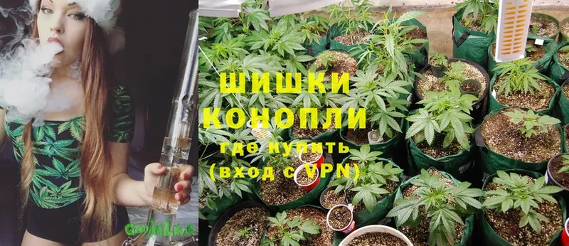 Каннабис White Widow  Домодедово 